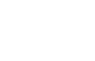 Logo blanc BS psychologie